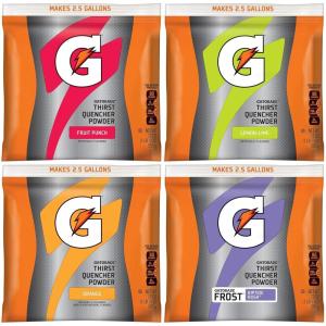 Gatorade Powder Bag Riptide Rush, 1.31 Pound (Pack of 32)(4-Flavor Variety Pack)